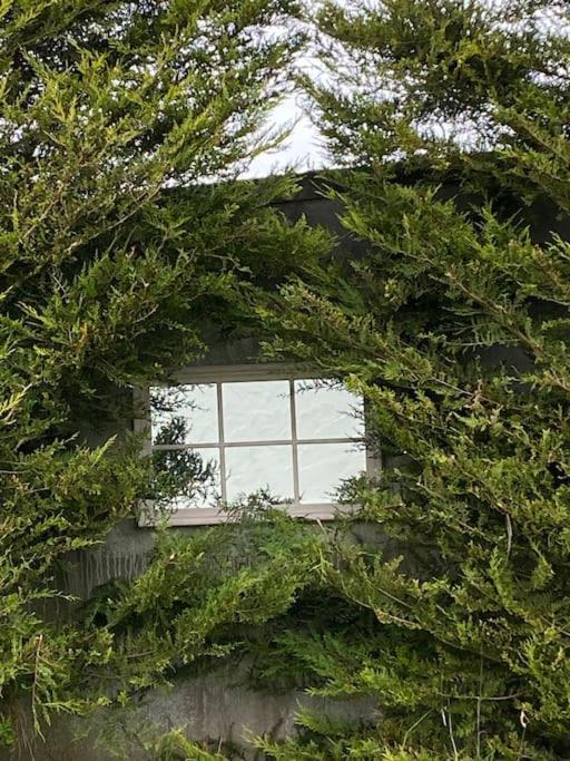 Breathnach Cottage Annex Knockleagha Ballina F26 D7E2 Eksteriør bilde